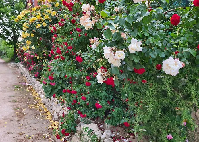 Penchevi Guest house 3*